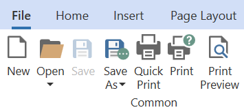 Home Ribbon contains all various icons that are flat design and represent Open, Save, Save As, Quick Print, Print, and Print Preview buttons under Common.